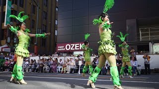 『第37回浅草サンバカーニバル 2018/37th Asakusa Samba Carnival 2018』G.R.E.S. FESTANÇA/フェスタンサ【Part 2】