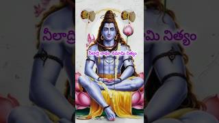 నీలాద్రి నాధం నమామి నిత్యం  నిత్యం#devotional song#shorts#