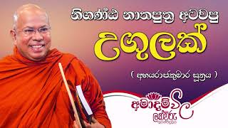 නිගණ්ඨ නාතපුත්‍ර අටවපු උගුලක් | අමාදම් විල | 10.00 PM | 2022.04.18