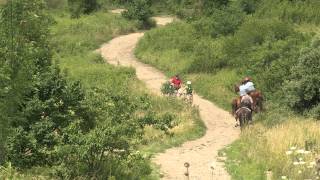 Meeting Horses while on your Mountain Bike | Indiana DNR
