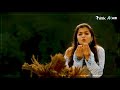 he is so cute song whatsapp status