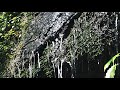 【自然のbgm・癒し】小林市 三之宮峡 1 real nature sounds kobayashi sannomiya gorge relaxation sleep slow tv