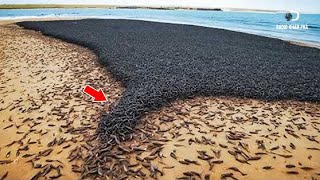 Những Hiện Tượng Thiên Nhiên Đáng Kinh Ngạc Và Kỳ Lạ Nhất Thế Giới Mà Bạn Không Thể Tưởng Tượng Nổi