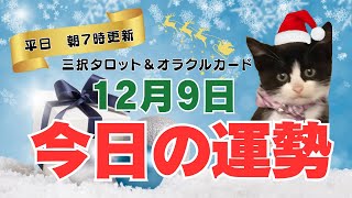 【１２月９日】今日の運勢【３択タロット】すべてミュートで見ても大丈夫です🎄これから２４時間以内に起きること🎁