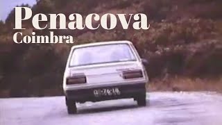 Vindimas em Penacova, Coimbra 1992