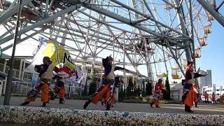 よさこい踊り屋「菊頭」2015　ゑぇじゃないか祭りシークル会場