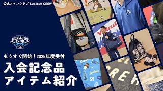 SWALLOWS CREW 2025 入会記念品紹介！東京ヤクルトスワローズ 公式ファンクラブ