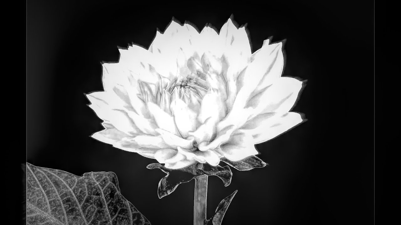 Audioreactive Video Playhead Touchdesigner Youtube