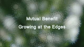 Mutual Benefit - Growing at the Edges (with visualizer)