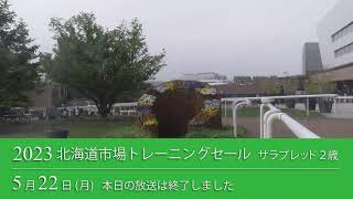 2023 北海道市場トレーニングセール 公開調教 生中継