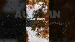 Indie/Indie-Folk/Indie-Pop Compilation - Autumn/Fall 2023🍂Autumn Vibes