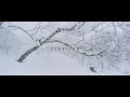 treeline trailer