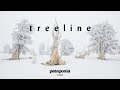 Treeline Trailer