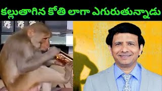 అంశము : కల్లుతాగిన కోతి లాగా ఎగురుతున్నాడు || David Paul - SatyaVakyamu