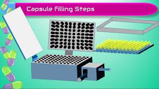 processing of hard gelatin capsules