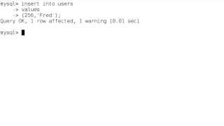 MySQL Integer Data Types
