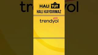 hali tut 312267887 514569576878174 7955666518201709584 n