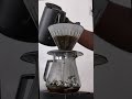 barista ken’s iced v60 magic perfect pour over in seconds v60