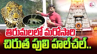 Chirutha Halchal in Tirumala | Telugu Latest News Updates | ‪@sumantvtirupathi‬