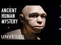 Did Ancient Humans Hibernate? | Unveiled