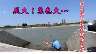 當生態池變滯洪池時,魚還在嗎?