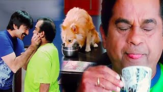 Ravi Teja and Brahmanandam Funny Dog Comedy Scene _ South Hindi Dubbed Movies Scenes 2020_UAV MOVIES
