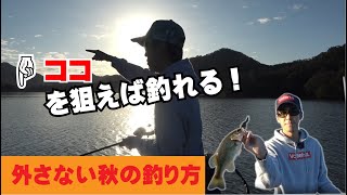 【青野ダム】釣果アップ！王道秋パターン教えます！