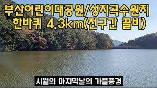 시월의 마지막날 가을풍경/부산어린이대공원/성지곡수원지 한바퀴 4.3km(전구간 끌바) 2021.10.31일