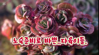 노숙준비로 마음이.#구글  #첫월급 탔어여.궁금하시죠?