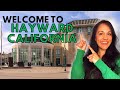 What's Living in Hayward California Like? One of the Most Affordable Cities in the Bay Area