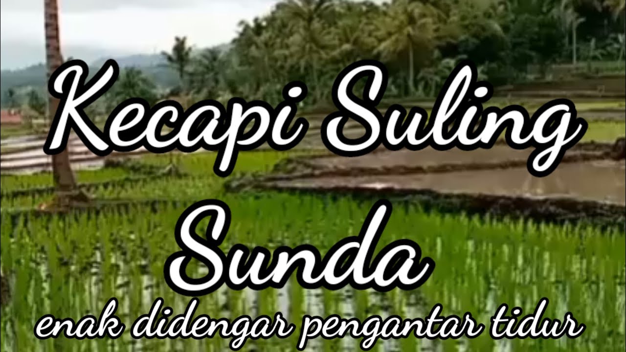 KECAPI SULING SUNDA MP3 INSTRUMEN PALING ENAK DIDENGAR SA'AT BERSANTAI ...