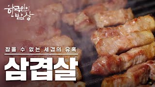[ENG SUB] [한국인의 밥상] *풀영상* 삼겹살, 참을 수 없는 세겹의 즐거움♡