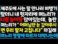 (신청사연) 제주도에 사는 딸 만나러 비행기 탔더니 내 뒷자리에 며느리가 다른 놈이랑 앉아 있는데, 놀란 며느리가 '어머님만 눈 감아 주시면 ~ [신청사연][사이다썰][사연라디오]