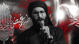 طبهم غيض | الرادود محمد الفاطمي | الذاكر حمزه المرشدي | انصار بدر الهواشم ع