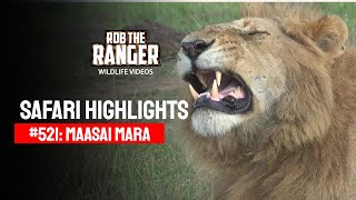 Safari Highlights #521: 12 & 13 March 2019 | Maasai Mara/Zebra Plains | Latest #Wildlife Sightings