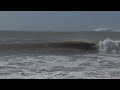 surf essaouira morocco