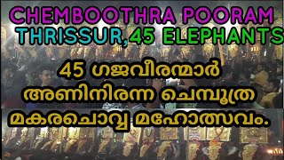 CHEMBOOTHRA POORAM 45-ELEPHANTS,Thrissur,Kerala.45 ഗജവീരന്മാർ അണിനിരന്ന ചെമ്പൂത്ര മകരചൊവ്വ മഹോത്സവം