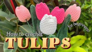 Learn HOW TO CROCHET TULIPS for BEGINNERS!