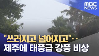 "쓰러지고 넘어지고"‥제주에 태풍급 강풍 비상 (2022.03.25/뉴스데스크/MBC)