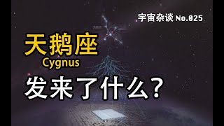 【宇宙雜談】天鵝座的“來信”到底發來了什麼？LHAASO的重大發現！ | Linvo說宇宙