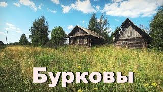 Нежилая деревня Бурковы . Кировская область. Две улицы домов.