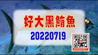 亞洲我最驫20220719 好大黑鮪魚