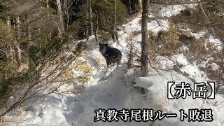 【赤岳】真教寺尾根ルート敗退