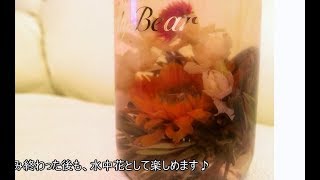 美しすぎるジャスミン茶飲んでみた【工芸茶】Flowering tea.Beautiful Jasmine tea in China