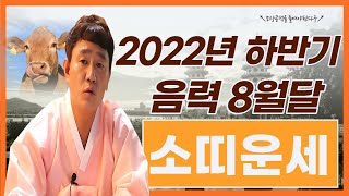 ✨2022년음력8월 소띠🐮 운세 / 조상공덕을 들이면 좋아진다고?🙏