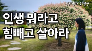 인생은 힘 빼는 연습 - 가볍게 살아가는 법으로 마음의 평온 찾기 / 마음이 편안해지는 명상의 말씀