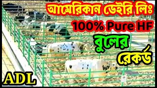 ADL 100% Hf bull milk record.আমেরিকান ডেইরি লিমিটেডের হলষ্টিন  ফ্রিজিয়ান ১০০% বুল।