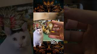 【ネタ改造】ドゥームズギーツバックル開封したら異物混入してた話 #猫ミーム #仮面ライダー #ギーツ #ドゥームズギーツ  #ビルド #エボルト #エボミーム #改造 #変身ベルト