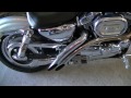 2003 sportster 1200 custom 100th anniversary edition walk around