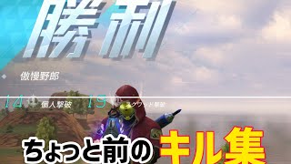 【サイバーハンター】ちょっと前のキル集　傲慢野郎　デュオ　3スク　キル集　サイハン　cyber hunter